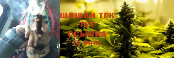 дживик Мегион