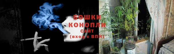 дживик Мегион