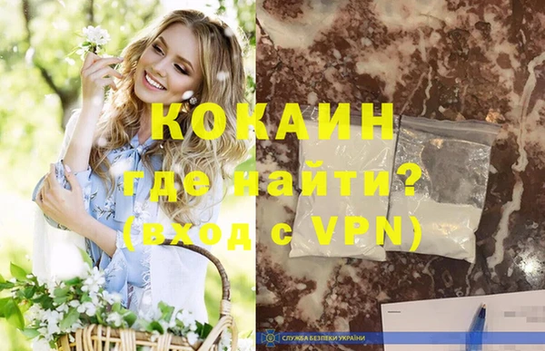 дживик Мегион