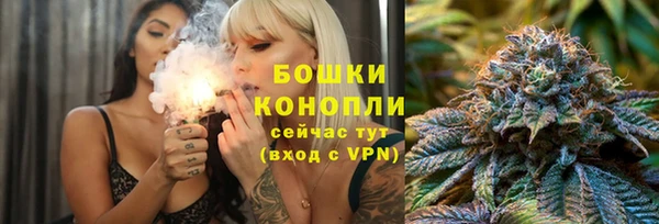 Альфа ПВП Магас