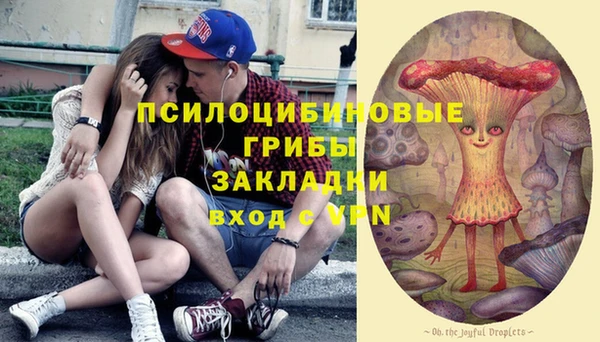 Альфа ПВП Магас